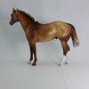 SWAK - OOAK Dapple Chestnut Stock Horse 2/15