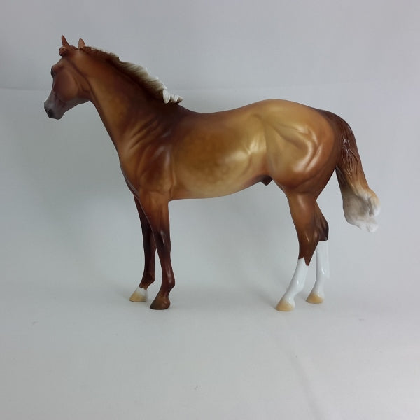 SWAK - OOAK Dapple Chestnut Stock Horse 2/15