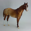 SWAK - OOAK Dapple Chestnut Stock Horse 2/15