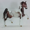 HRZ - OOAK Dapple Gray Pinto Saddlebred with Mapping - 2/15