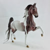 HRZ - OOAK Dapple Gray Pinto Saddlebred with Mapping - 2/15