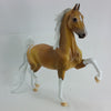 SWEET HEART - OOAK Dapple Palomino Pinto Saddlebred with Mapping  2/15