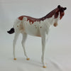 LOVE DANCE - OOAK Bay Splash  Paint Weanling   2/15