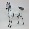 CHERUB - OOAK Appaloosa Arabian 2/15