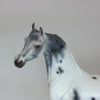 CHERUB - OOAK Appaloosa Arabian 2/15