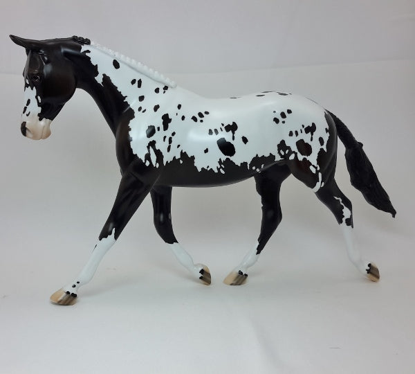 INFATUATION - OOAK Black Appaloosa Braided Palouse 2/15