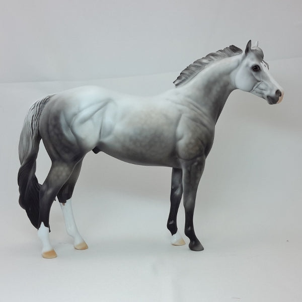 CUPID'S CUPCAKE - Dapple Gray Stock Horse LE3 2/15