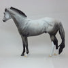 CUPID&#39;S CUPCAKE - Dapple Gray Stock Horse LE3 2/15