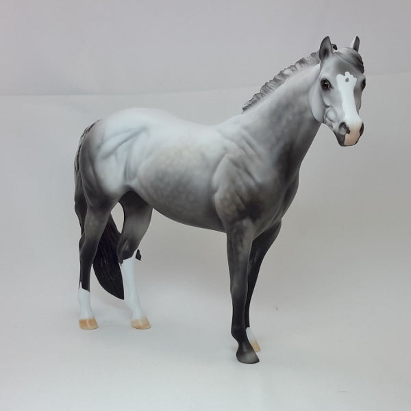 CUPID'S CUPCAKE - Dapple Gray Stock Horse LE3 2/15