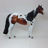 ANGEL CAKES - OOAK Exquisite Bay Tobiano Paint Stock with Mapping 2/15