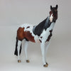 ANGEL CAKES - OOAK Exquisite Bay Tobiano Paint Stock with Mapping 2/15