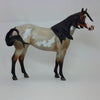 WORSHIP AND ADORE - Bay Roan Overo Paint Stock Horse LE15 2/15