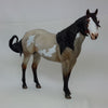 WORSHIP AND ADORE - Bay Roan Overo Paint Stock Horse LE15 2/15