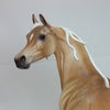 CUPID&#39;S ARROW - OOAK Sooty Palomino Dapple Arabian 2/15