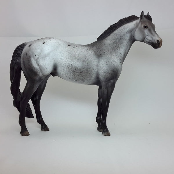 AMERICAN REVOLUTION - OOAK Appaloosa Stock Model Horse 2/15