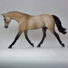 JEFFERSON - OOAK Buckskin Appaloosa Model Horse - Warmblood Pebbles - 2/15