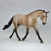 JEFFERSON - OOAK Buckskin Appaloosa Model Horse - Warmblood Pebbles - 2/15