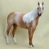 OH SHENANDOAH - OOAK Star Dapple Palomino Stock Horse 3/15