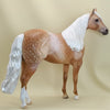 OH SHENANDOAH - OOAK Star Dapple Palomino Stock Horse 3/15