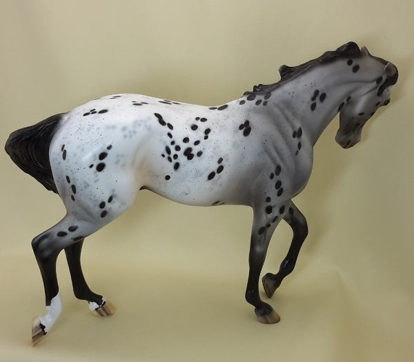 HELLO IN THERE - OOAK Pinned Ear Appaloosa Thoroughbred 3/15