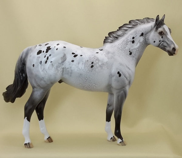 PAW PAW PATCH - OOAK Appaloosa Stock 3/15