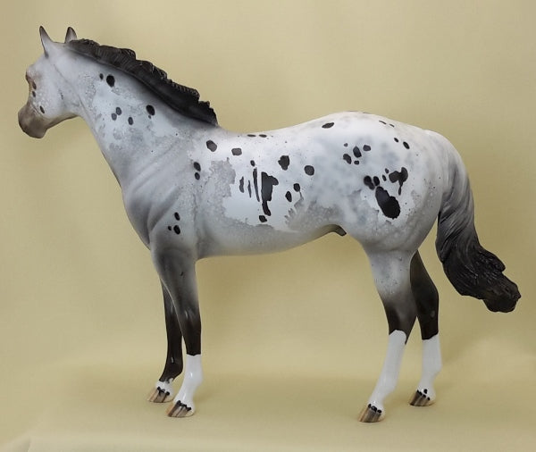 PAW PAW PATCH - OOAK Appaloosa Stock 3/15