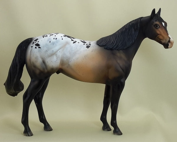 DIAMONDS AND RUST - OOAK Bay Appaloosa Stock 3/15