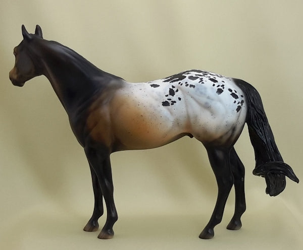 DIAMONDS AND RUST - OOAK Bay Appaloosa Stock 3/15