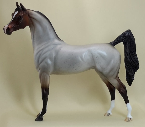 TAM LIN -  Bay Roan Arabian LE5 3/15