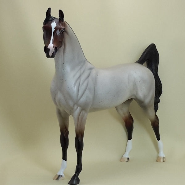 TAM LIN -  Bay Roan Arabian LE5 3/15