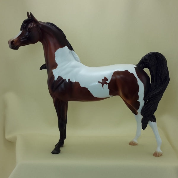 MATTY GROVES - OOAK Bay Pinto Arabian Wind Blown 3/15