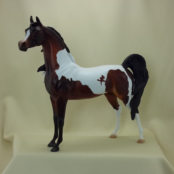 MATTY GROVES - OOAK Bay Pinto Arabian Wind Blown 3/15