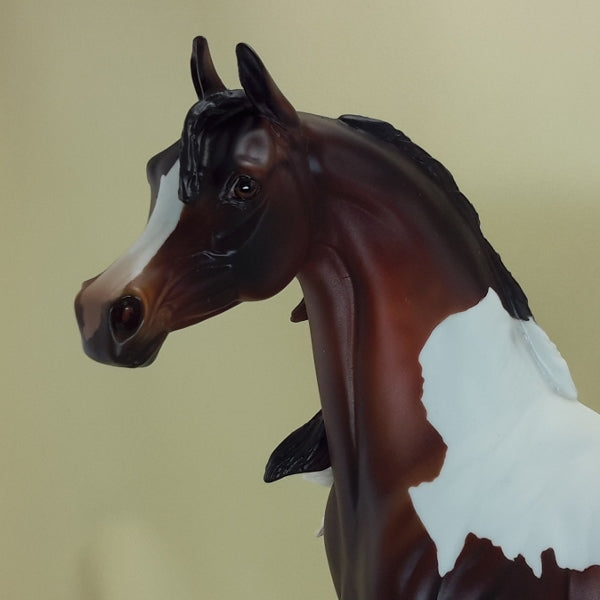 MATTY GROVES - OOAK Bay Pinto Arabian Wind Blown 3/15