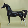 AIKEN DRUM - Dark Dapple Chestnut Arabian Model Horse - LE3 - 3/15