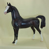 AIKEN DRUM - Dark Dapple Chestnut Arabian Model Horse - LE3 - 3/15