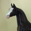 AIKEN DRUM - Dark Dapple Chestnut Arabian Model Horse - LE3 - 3/15