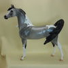 SCARBOROUGH FAIR - OOAK Grulla Pinto Wind Blown Arabian Mare 3/15