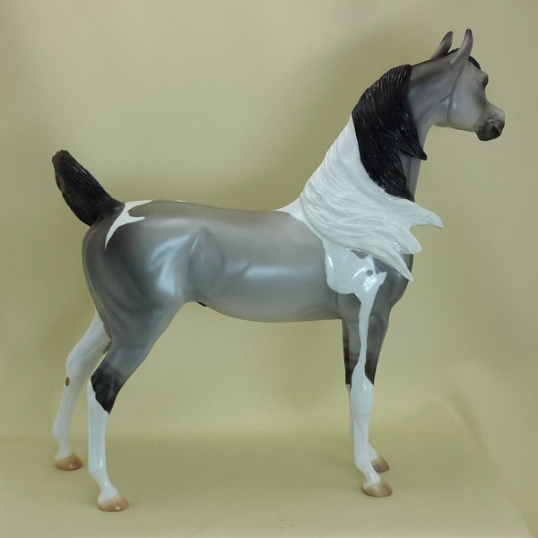 SCARBOROUGH FAIR - OOAK Grulla Pinto Wind Blown Arabian Mare 3/15