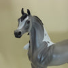 SCARBOROUGH FAIR - OOAK Grulla Pinto Wind Blown Arabian Mare 3/15