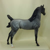 ENDLESS LOVE - Blue Roan Arabian LE2 3/15