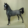 ENDLESS LOVE - Blue Roan Arabian LE2 3/15