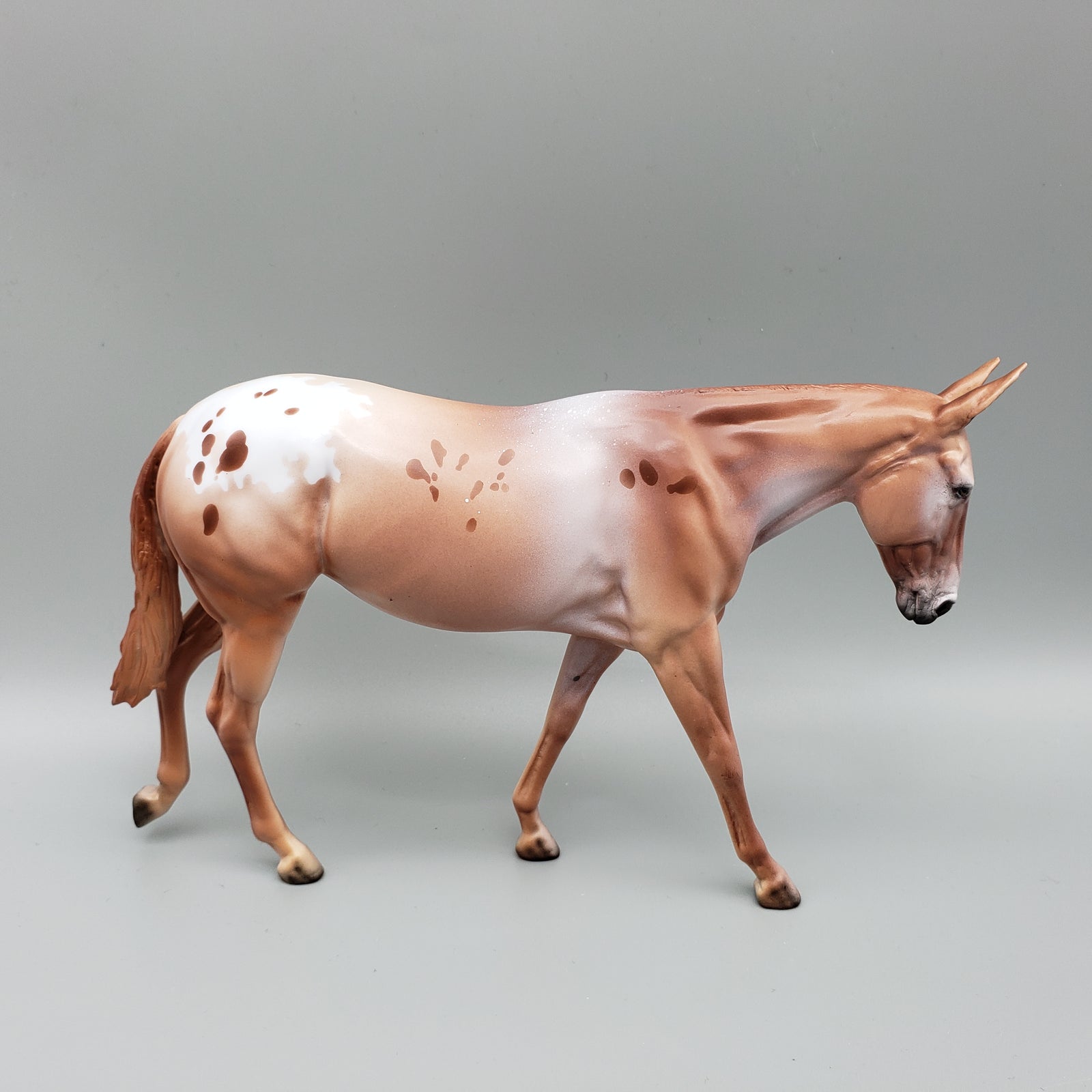 Half Pint Alfalfa - LE15 - Chestnut Appaloosa Pebble Mule By Dawn Quick EQ23