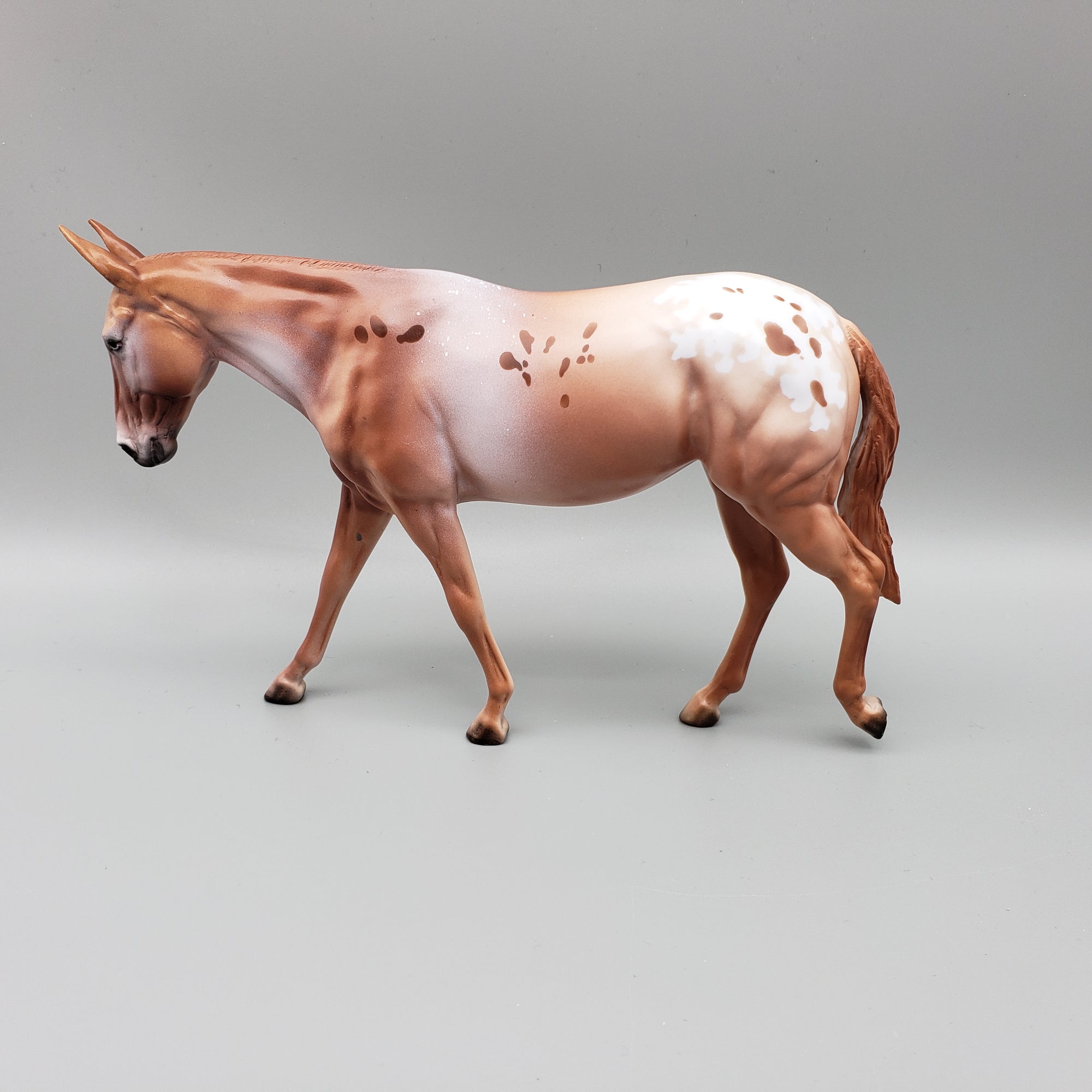 Half Pint Alfalfa - LE15 - Chestnut Appaloosa Pebble Mule By Dawn Quick EQ23
