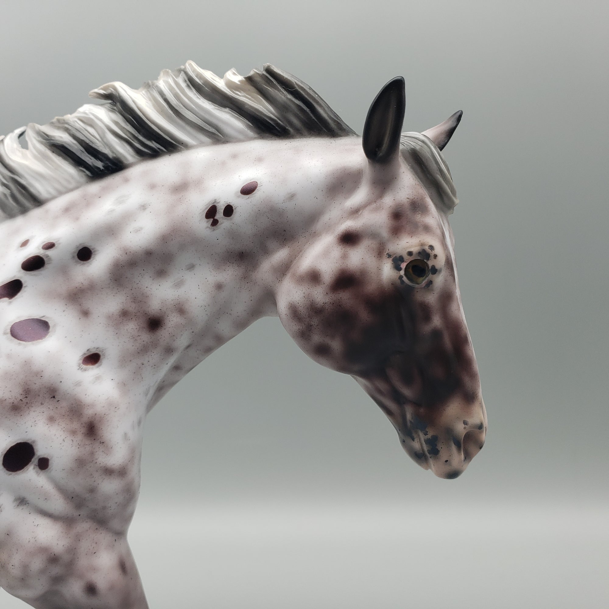 Pompeii OOAK Appaloosa Remington By Ellen Robbins - Best Offers 1/22/24