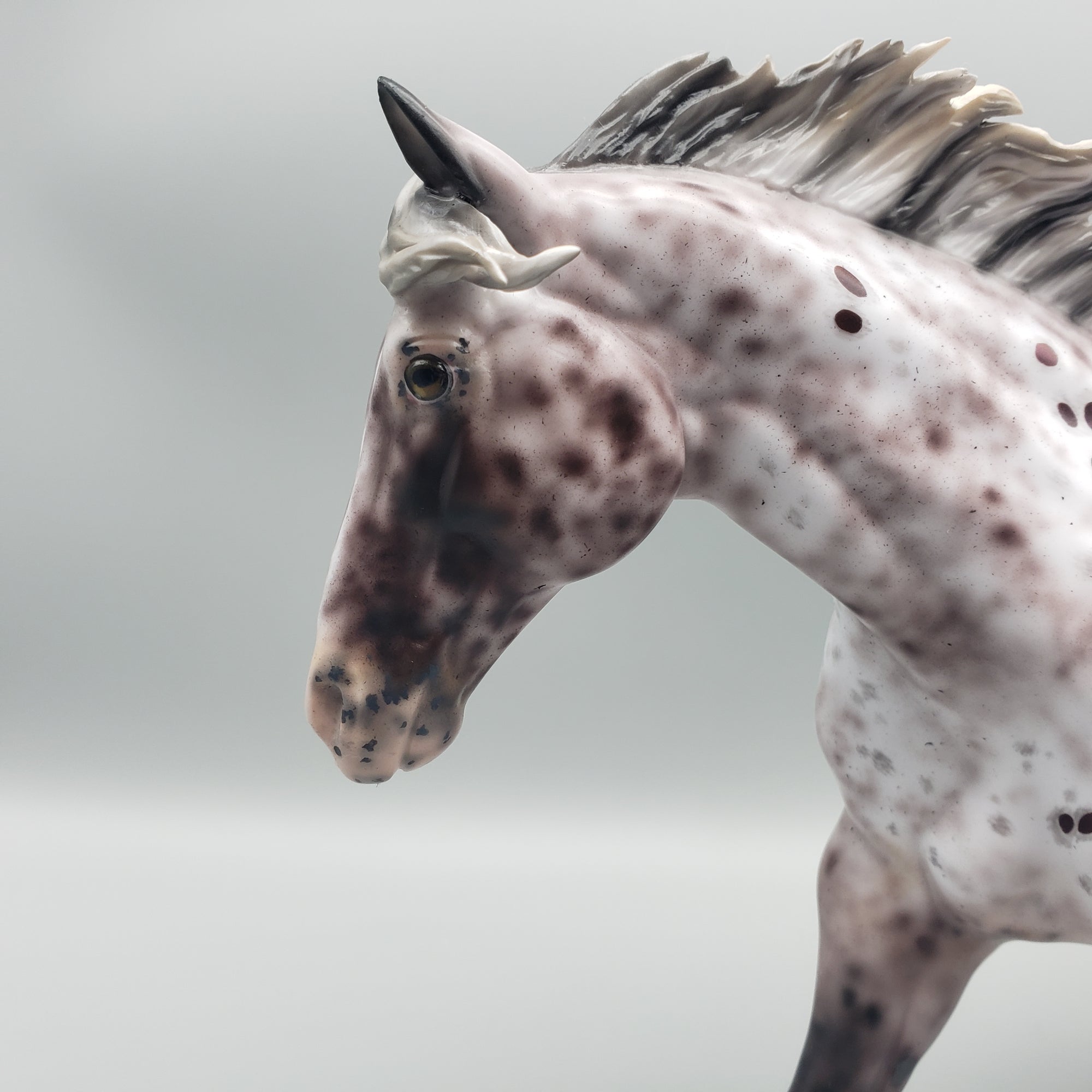 Pompeii OOAK Appaloosa Remington By Ellen Robbins - Best Offers 1/22/24