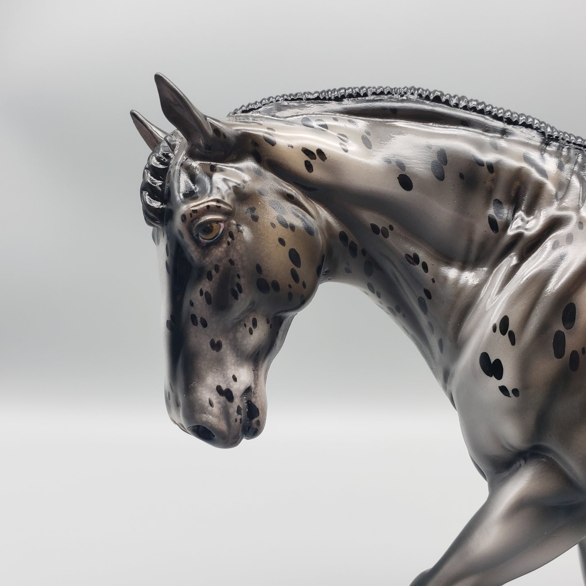 Seventh Heaven OOAK Glossy Appaloosa Irish Cob By Julie Keim - Best Offers 1/22/24