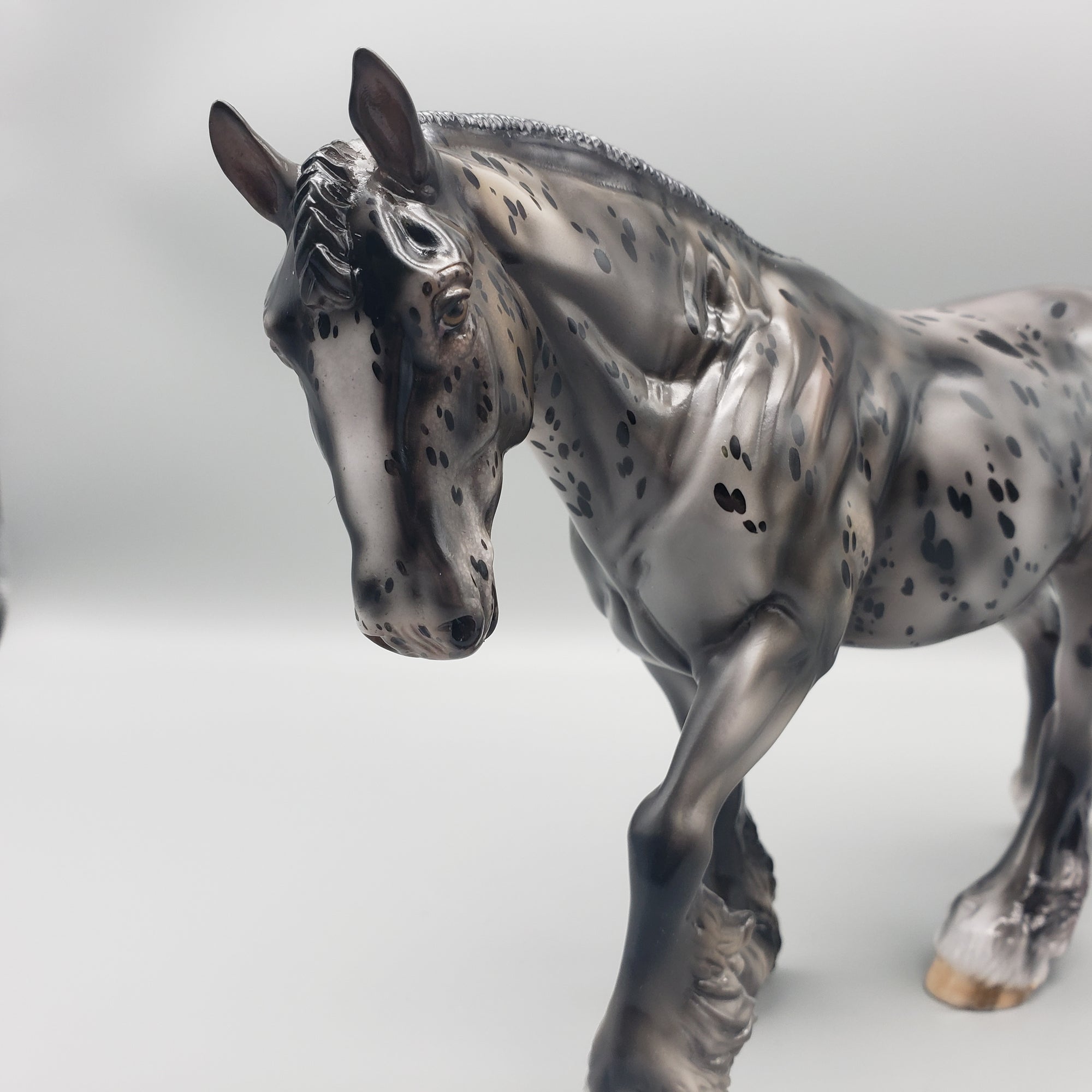 Seventh Heaven OOAK Glossy Appaloosa Irish Cob By Julie Keim - Best Offers 1/22/24