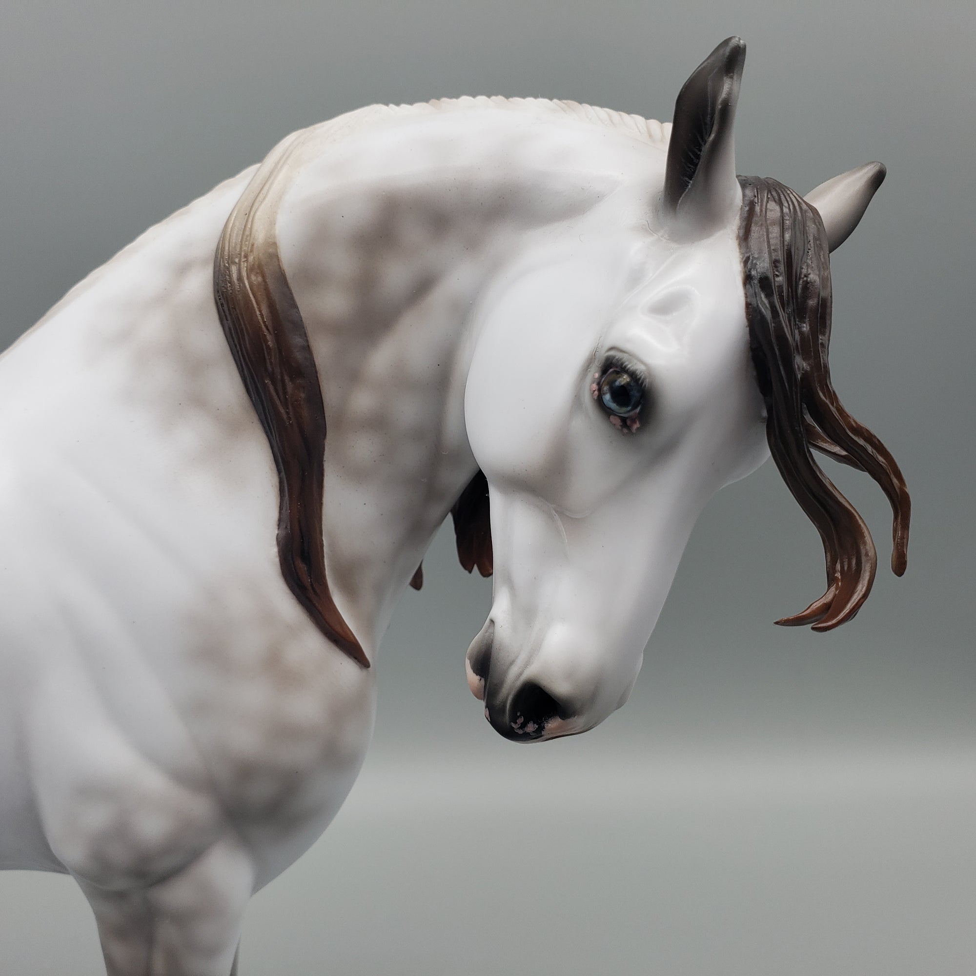 Viento OOAK Dappled Rose Grey Andalusian By Ashley Palmer - Best Offers 1/22/24