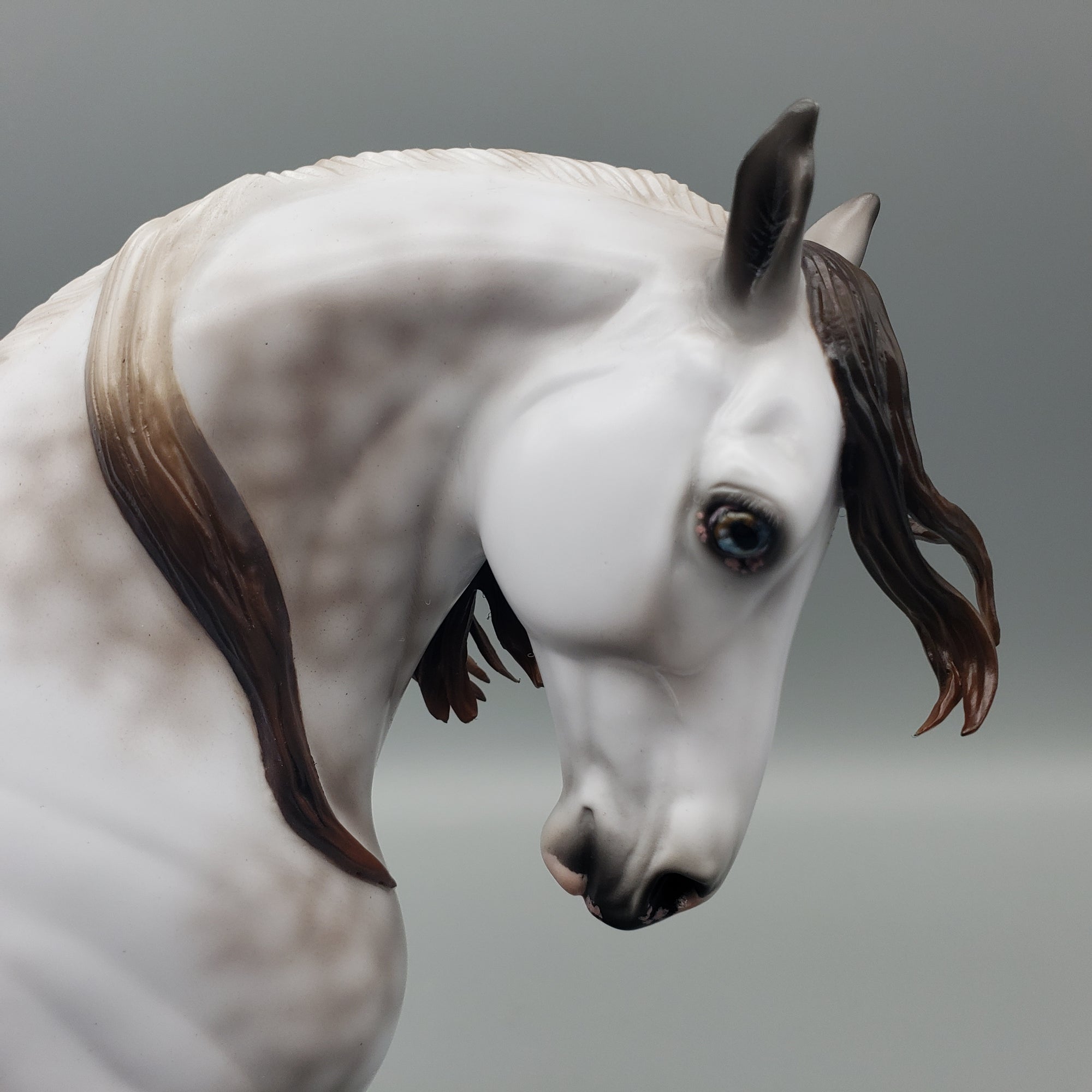 Viento OOAK Dappled Rose Grey Andalusian By Ashley Palmer - Best Offers 1/22/24