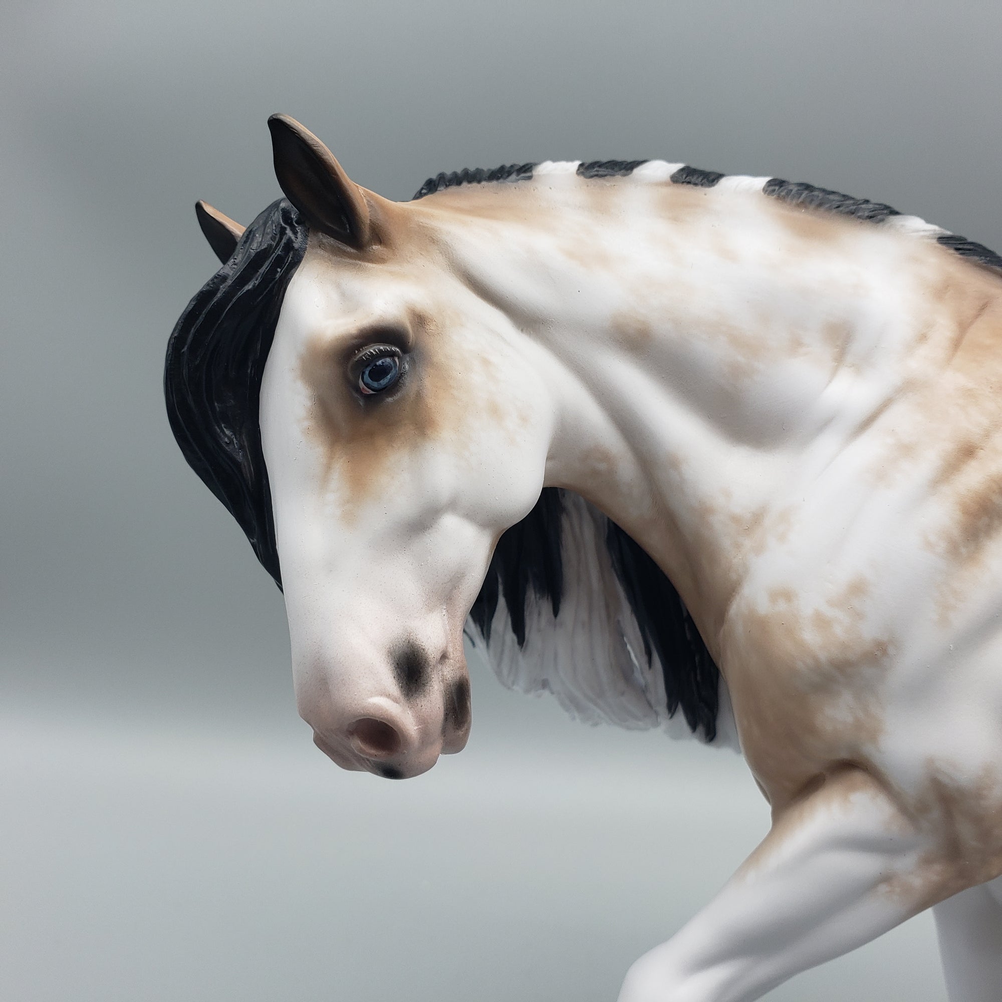 Lavish OOAK Buckskin Sabino Irish Cob by Sheryl Leisure - Best Offers 1/22/24